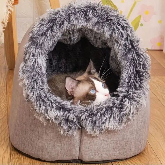 Enclosed Cat Bed